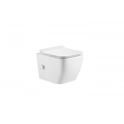 Style rimless short projection wall hung WC with hot/cold bidet mixing valve pan with soft close seat.