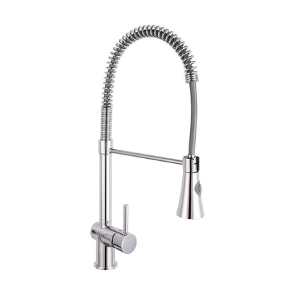 Reginox Chiana Single Lever Chrome Kitchen Mixer Tap With With Flexible Spray